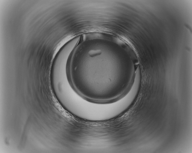 X0000100391138200806201708