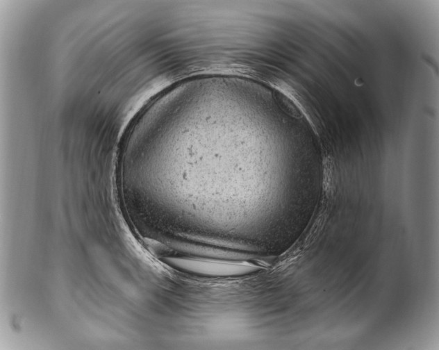 X0000100391139200806201708