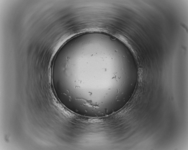 X0000100391140200806201708