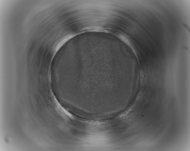 X0000100391141200806201708