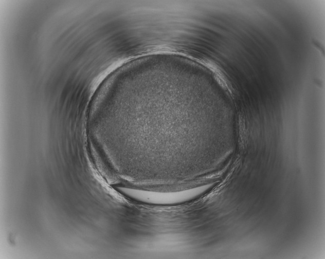 X0000100391142200806201708