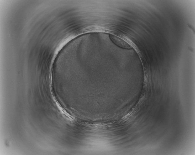 X0000100391144200806201708