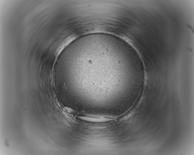 X0000100391145200806201708