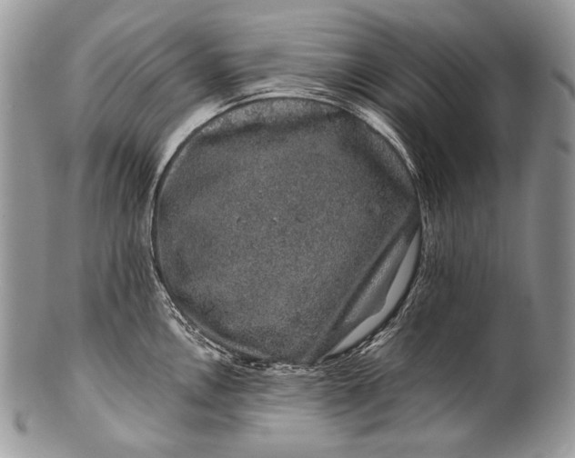 X0000100391146200806201708