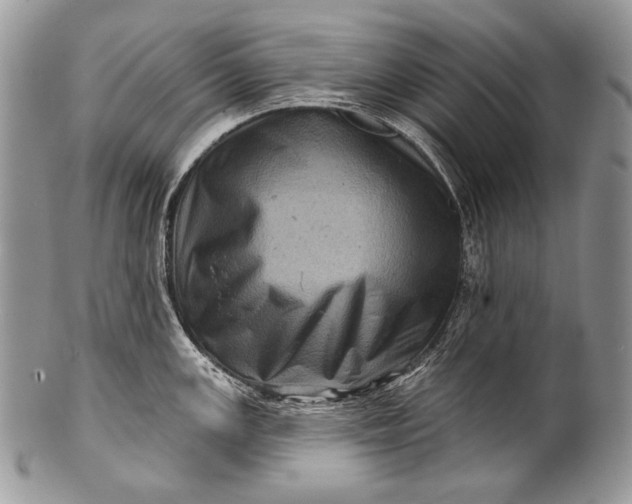 X0000100391147200806201708