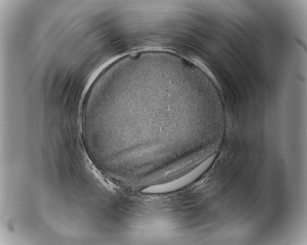 X0000100391148200806201708