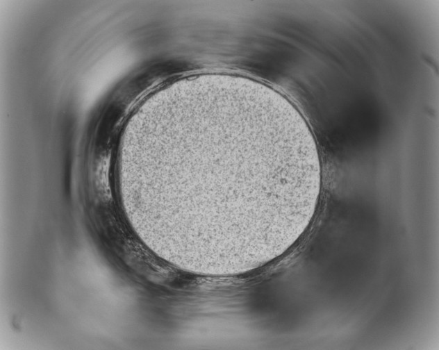 X0000100391150200806201708