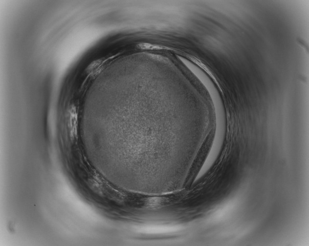 X0000100391151200806201708