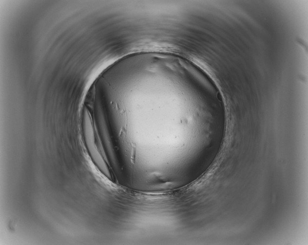 X0000100391152200806201708