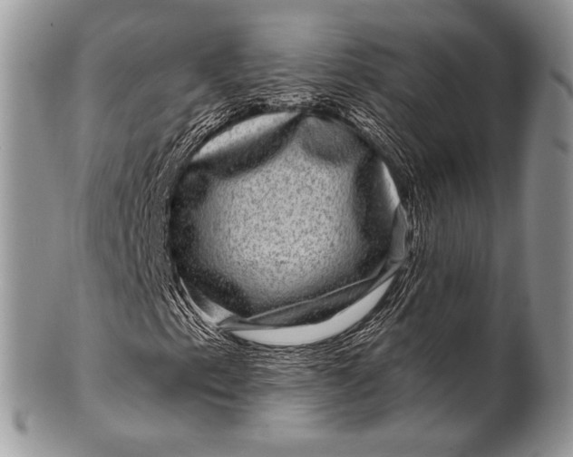 X0000100391153200806201707