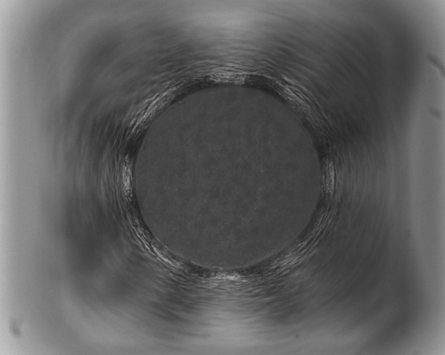 X0000100391154200806201707