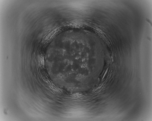 X0000100391155200806201707