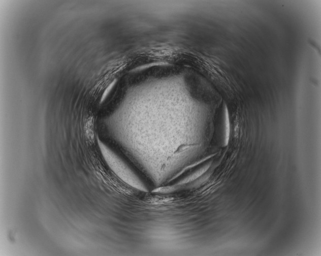 X0000100391156200806201707