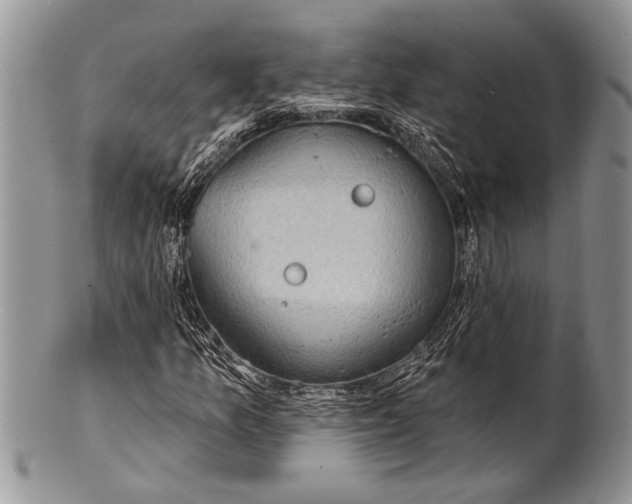 X0000100391157200806201707