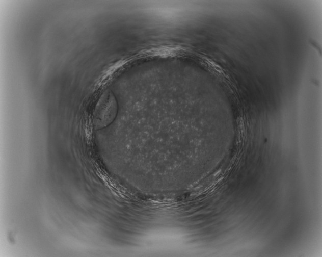 X0000100391158200806201707