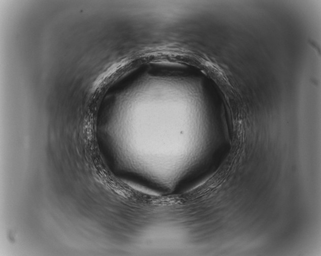 X0000100391159200806201707