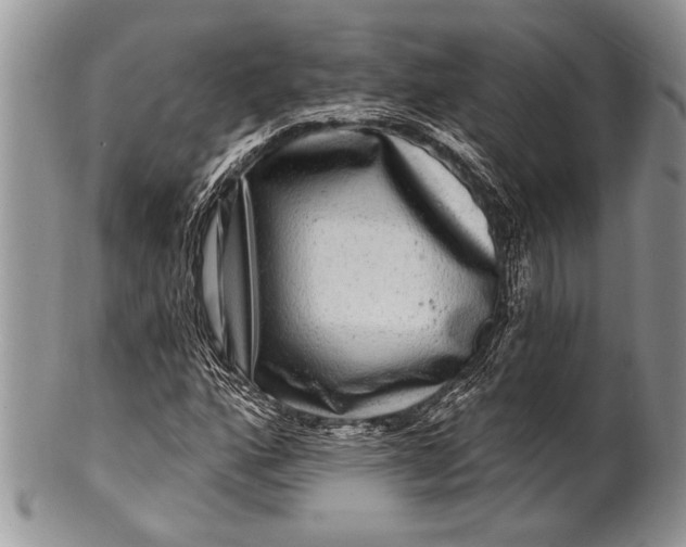 X0000100391160200806201707