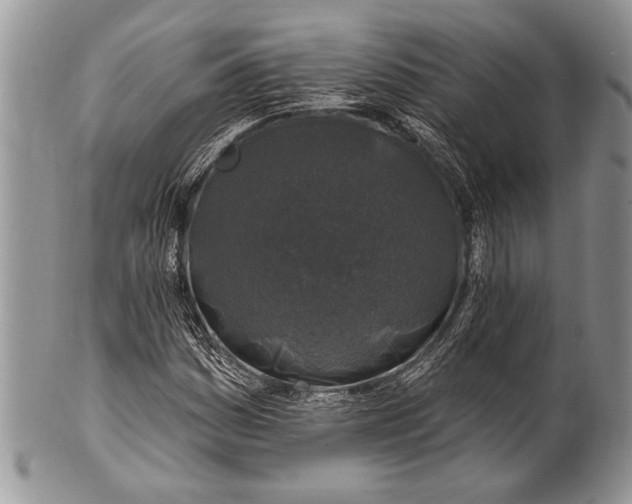 X0000100391161200806201707