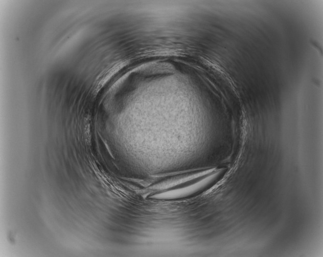 X0000100391162200806201707