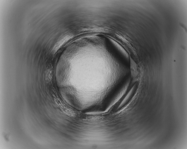 X0000100391163200806201707