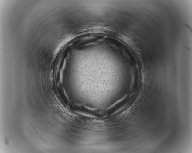 X0000100391164200806201707