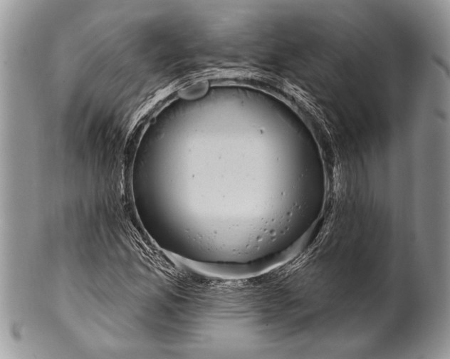 X0000100391165200806201707