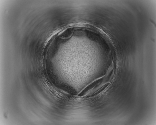 X0000100391166200806201707