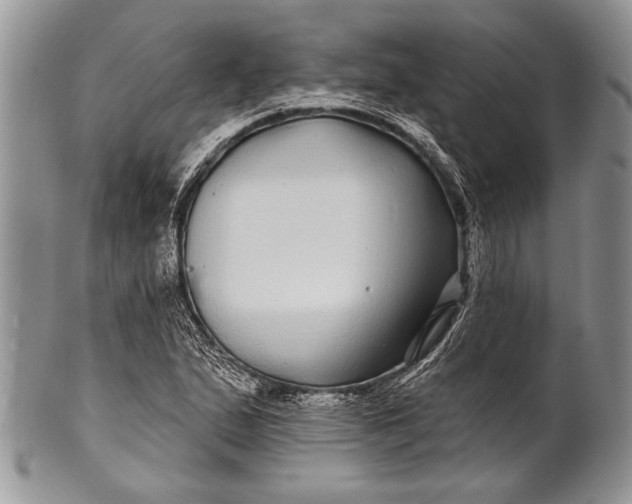 X0000100391167200806201707