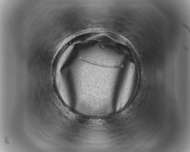 X0000100391168200806201707