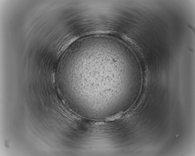 X0000100391169200806201707