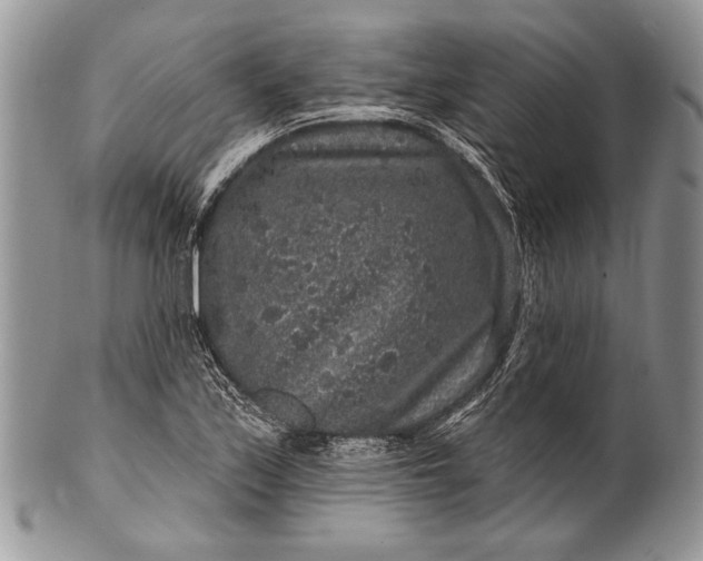 X0000100391171200806201707