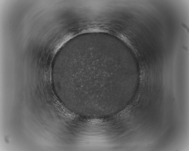 X0000100391173200806201707