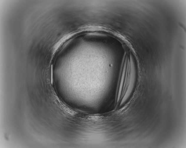 X0000100391175200806201707