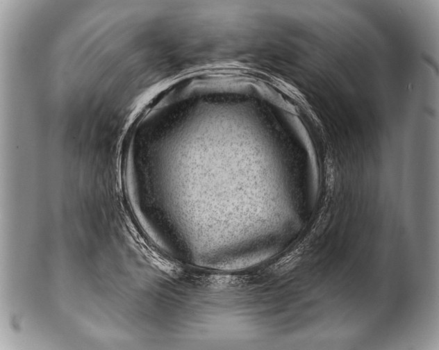 X0000100391176200806201706