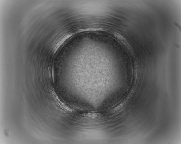 X0000100391177200806201706