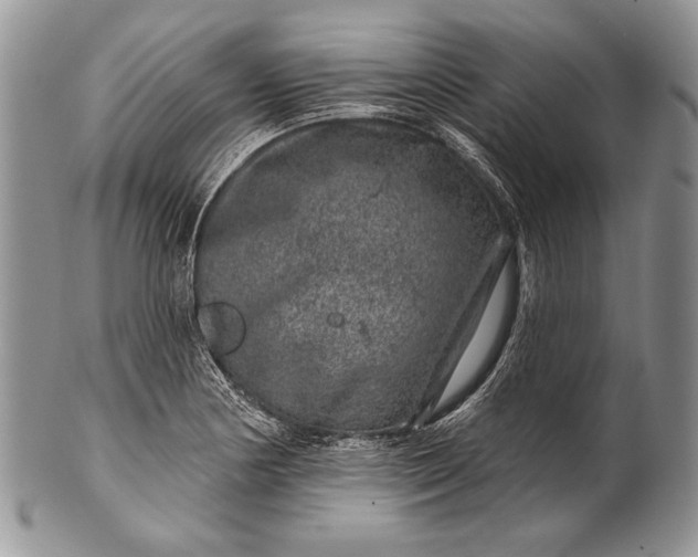 X0000100391178200806201706