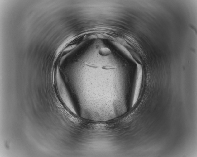 X0000100391180200806201706