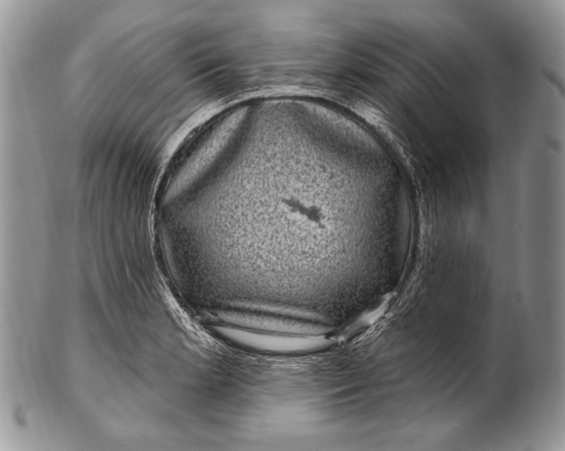 X0000100391181200806201706