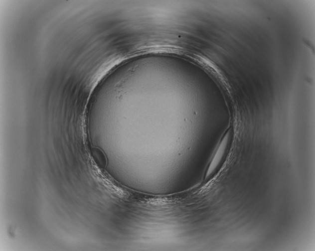 X0000100391182200806201706