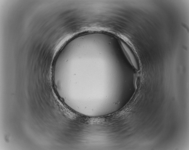 X0000100391183200806201706