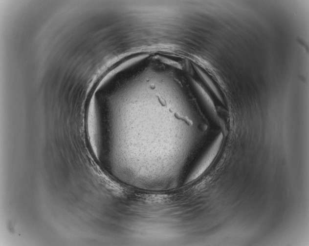 X0000100391184200806201706