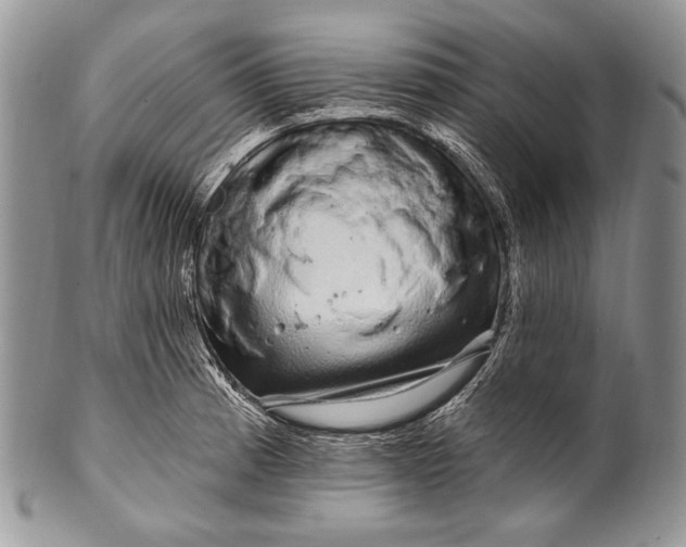 X0000100391185200806201706