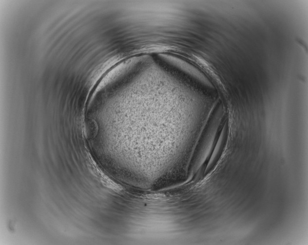 X0000100391186200806201706