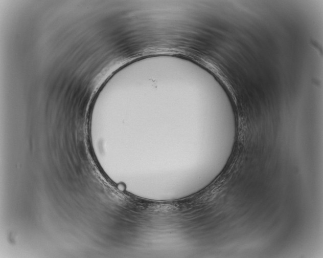 X0000100391187200806201706