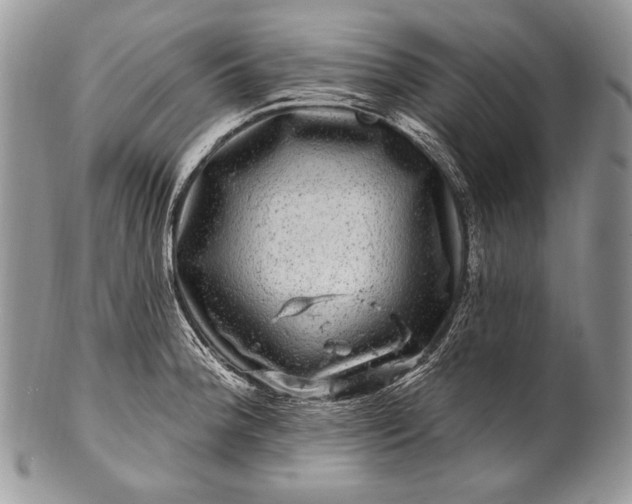 X0000100391188200806201706