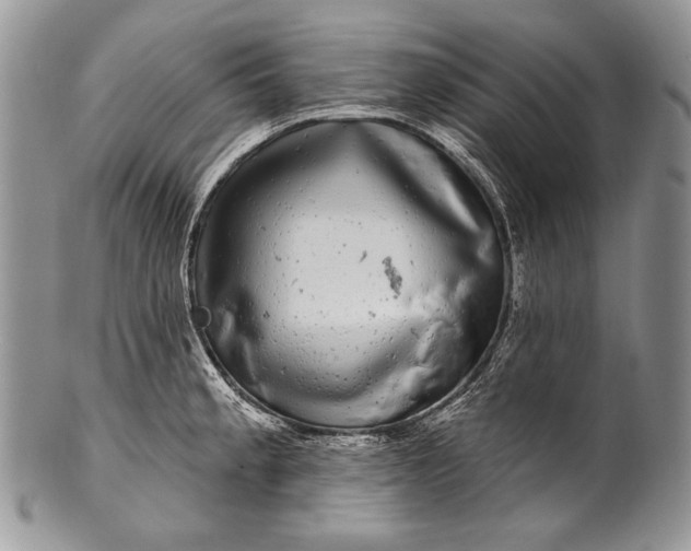 X0000100391189200806201706