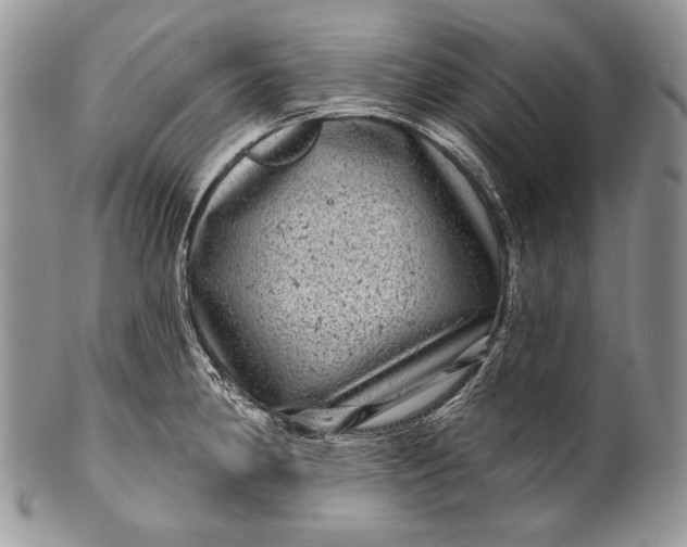 X0000100391190200806201706