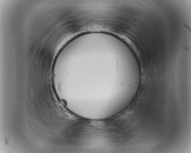 X0000100391191200806201706