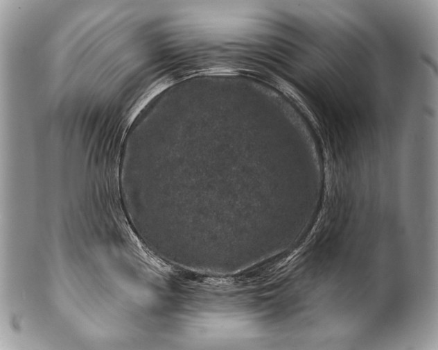 X0000100391194200806201706