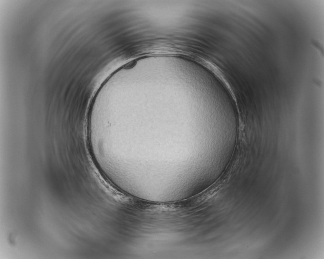 X0000100391195200806201706